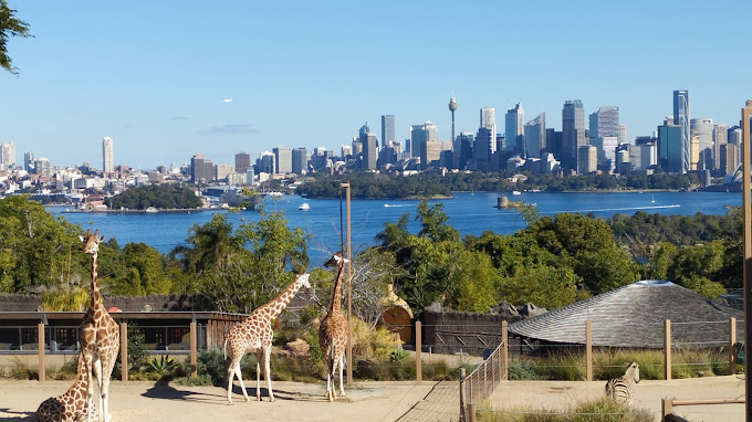 Taronga Zoo Sydney