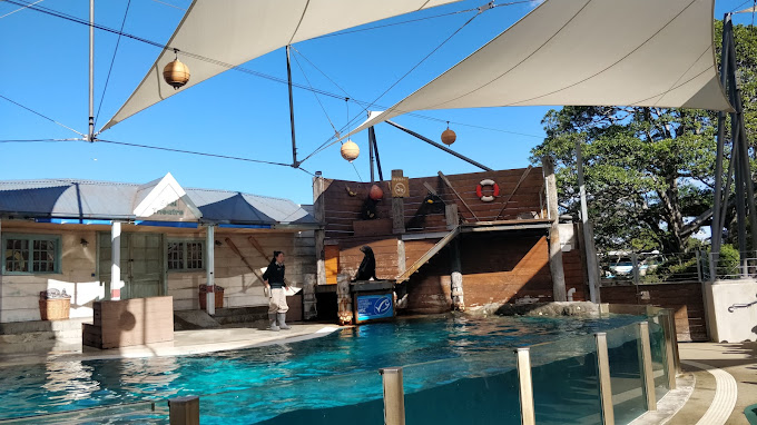Taronga Zoo Sydney